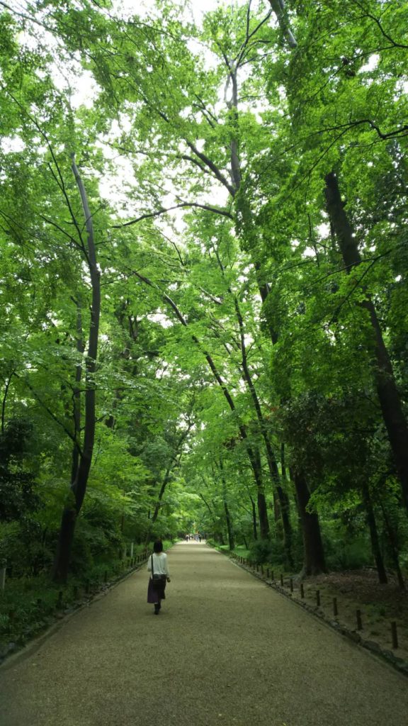 京都、糺の森でリノベーションと空間について考えました